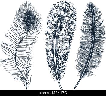 Set of Rustic realistic feathers of different birds, owls, peacocks, ducks. engraved hand drawn in old vintage sketch. Vector illustration. Stock Vector