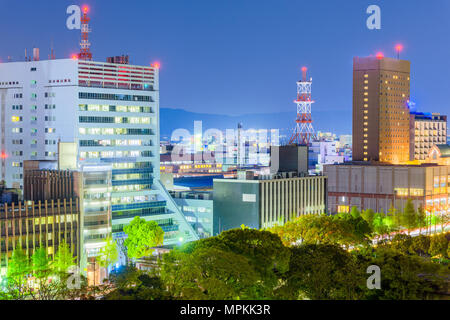Wakayama City, Japan downtown cityscape at night.