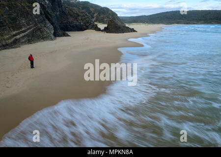 Oceania, Australia; Australian; Tasmania; Bruny Island Neck Game Reserve, Beach, woman hiker on beach from above Stock Photo