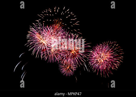 Firework Stock Photo