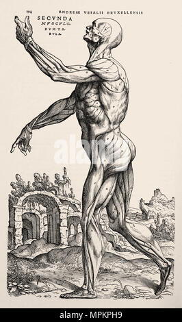 Woodcut from 