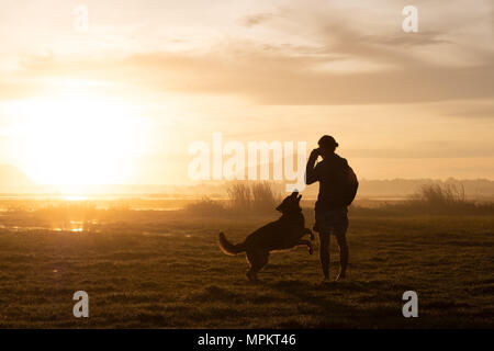 Silhouette of woman and dog walking on sunset background. Stock Photo