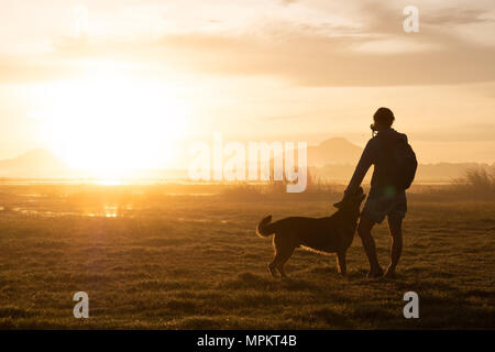Silhouette of woman and dog walking on sunset background. Stock Photo