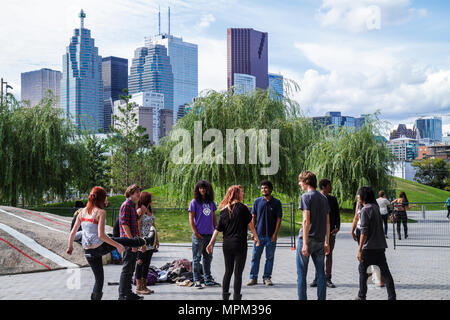 Toronto Canada,Queen's Quay East,Financial District,skyline,park,Asian Black African Africans,man men male,woman female women,young adult,leisure,comp Stock Photo