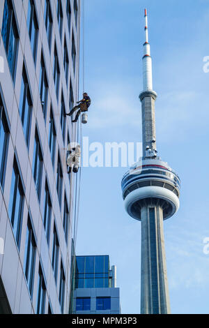 Toronto Canada,King Street West,Metro Hall,window washers,cleaner,high rise skyscraper skyscrapers building buildings height,dangerous job,safety,rope Stock Photo