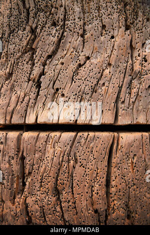 Abstract wood texture of a dry dock with a cut and full of woodworm holes at Caló d’en Trull in Formentera (Balearic Islands, Spain). Conceptual. Stock Photo