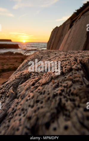 Wood texture of a traditional dry dock full of woodworm holes and sunset at Caló d’en Trull near Cala Saona in Formentera (Balearic Islands, Spain) Stock Photo