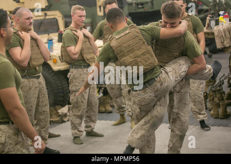 USS SOMERSET, At Sea (March 27, 2017) A U.S. Marine with Light Armored Reconnaissance Company, Battalion Landing Team, 1st Bn., 4th Marines, 11th Marine Expeditionary Unit (MEU), executes a counter to the rear kick during a Marine Corps Martial Arts Program (MCMAP) training session aboard USS Somerset (LPD 25), March 27. MCMAP teaches Marines combative skills and reinforces the Marine Corps principles and leadership traits through professional military education tie-ins. The 11th MEU is operating in the U.S. 5th Fleet area of responsibility in support of maritime security operations and theate Stock Photo