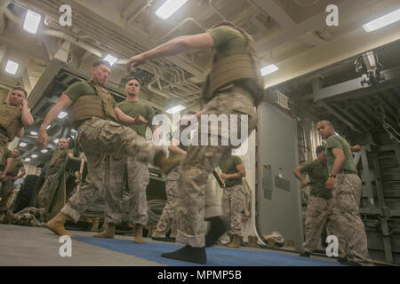 USS SOMERSET, At Sea (March 27, 2017) U.S. Marine Lance Cpl. Eli Salinas, an infantry rifleman with Light Armored Reconnaissance Company, Battalion Landing Team 1st Bn., 4th Marines, 11th Marine Expeditionary Unit (MEU), executes a front kick during a Marine Corps Martial Arts Program (MCMAP) training session aboard USS Somerset (LPD 25), March 27. MCMAP teaches Marines combative skills to defend against or incapacitate the enemy in combat situations. The 11th MEU/Makin Island Amphibious Ready Group is currently underway on their Western Pacific 16-2 deployment. (U.S. Marine Corps photo by Sgt Stock Photo