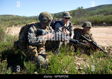 U.S. Marine Corps Master Sgt. Thanh Nguyen with 2nd Marine Logistics ...