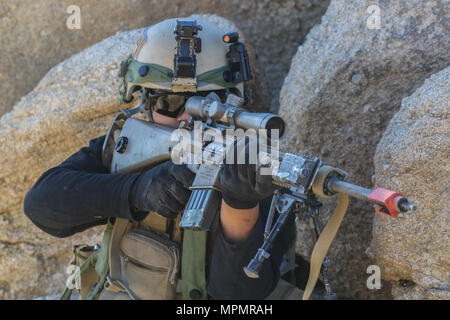 A Soldier from Coldsteel Troop, 1st Squadron, 11th Armored Cavalry ...