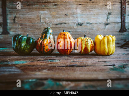Row of five Ornamental pumpkins on wood Stock Photo