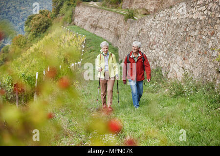 Germany, Rheingau, happy senior couple hiking together Stock Photo