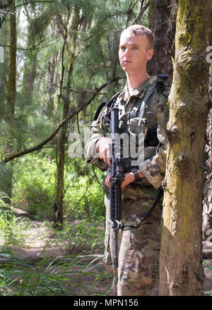 During Hammerhead Field Training Exercise 17-2 at Marine Corps Training ...