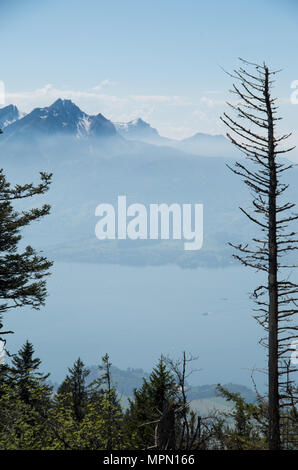 Mount Pilatus as seen from mount rigi with a leafless/dead tree in the foreground and lake lucerne in the middle Stock Photo