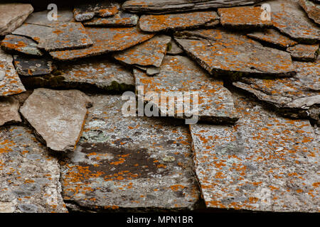 Background pattern from slate tiles with red mold Stock Photo