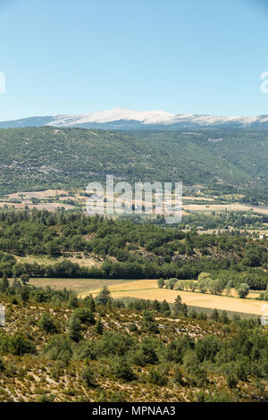 Fields and meadows in valley below Sault, Provence France Stock Photo