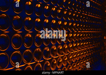 Many champagne bottles in cellar. Stock Photo