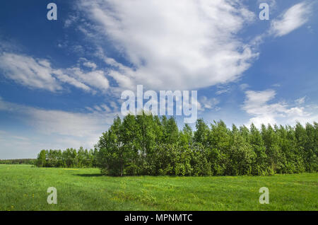 Green fields and forests under a blue sky with white clouds Stock Photo ...