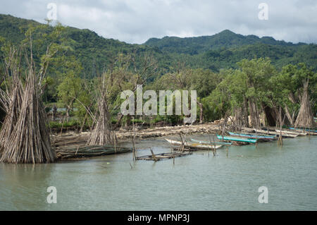 Tall bamboo poles drying Stock Photo