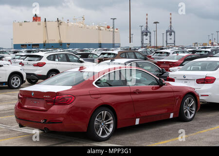 Bremerhaven, Germany. 12th June, 2017. New vehicles of BMW can be seen at the BLG Logistics Group Car Terminal, ready for shipping in Bremerhaven, Germany, 12 June 2017. Credit: Ingo Wagner/dpa | usage worldwide/dpa/Alamy Live News Stock Photo