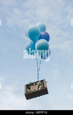 Sending floral present in cardboard box with balloons Stock Photo