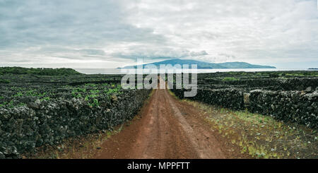 A panoramic top view of a typical vineyard on a cloudy day at São Miguel Island, Azores. Stock Photo