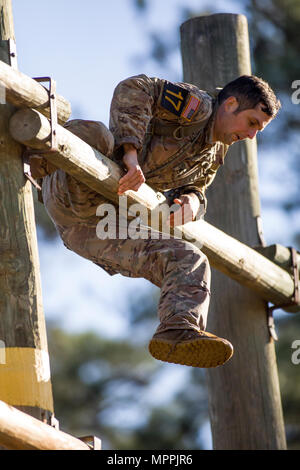 Army Ranger Ladder Man A U.S. Army Ranger from the 82nd Airborne Division climbs a caving ...