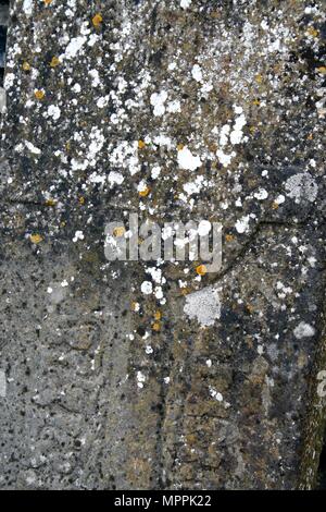 Ancient gravestone closeup at historic Kilcorban Graveyard and ancient Dominican Abbey ruins, Kilcorban, Portumna, County Galway, Ireland Stock Photo