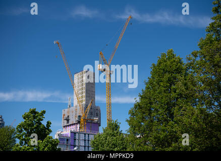 Construction cranes seen against a blue sky on a warm summer day in central Cardiff, Wales, UK. Stock Photo