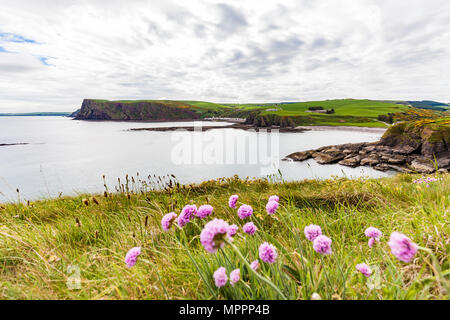 Scotland, Aberdeenshire, Coast near Pennan Stock Photo