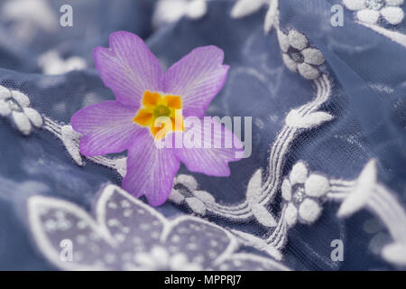 Blossom of primrose on floral patterned cloth, close-up Stock Photo