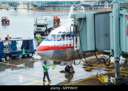 Toronto Canada,Lester B. Pearson International Airport,YYZ,terminal gate,company,US carrier,American Airlines,aircraft,tarmac,ground crew,window view, Stock Photo