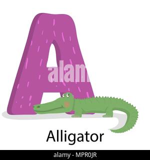 Alphabet with letter A. English zoo,wild animal Stock Vector