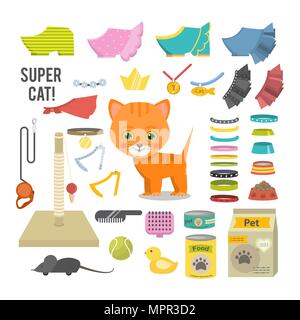 Cat and accessories illustration. Stock Vector