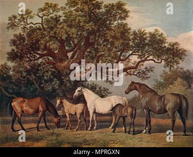 'Brood Mares and Foals', late 18th century, (1922). Artist: George Townley Stubbs. Stock Photo