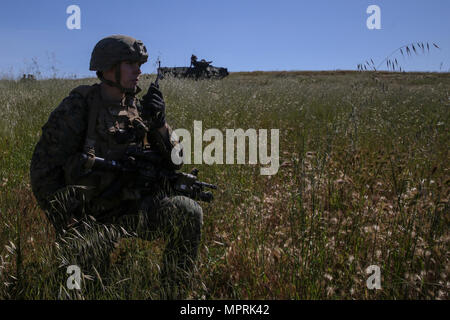 An amphibious assault vehicle (AAV) positions to enter the main vehicle ...