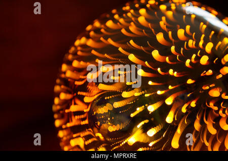 Shining light bulb with firework effect. Abstract background, closeup photo Stock Photo