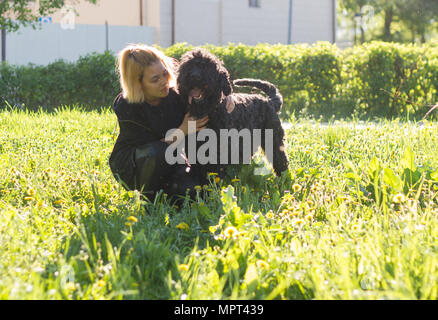 Girl and Russian black Terrier sitting on the grass in the Park Stock Photo