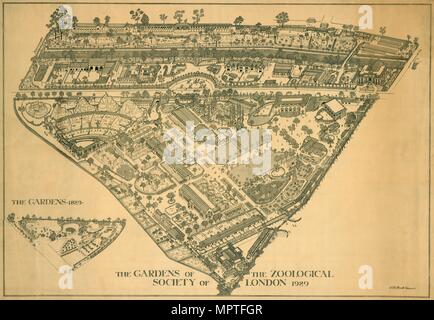 London Zoo, Regents Park, Westminster, 1929. Artist: RB Brook Greaves. Stock Photo