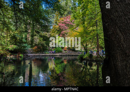 Autumn colours on Mount Dandenong Stock Photo