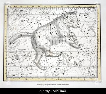 The Constellations (Plate VI) Ursa Major, from A Celestial Atlas by Alexander Jamieson,  1822. Stock Photo