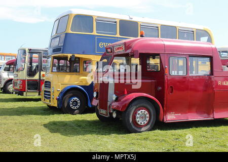 Vintage Bus Show Llandudno Wales Stock Photo