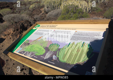 Poster showing the flora and fauna that we can find in the Malpaís de Güímar reserve on the island of Tenerife Stock Photo