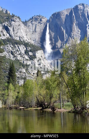 Yosemite Falls seen over Merced river, Yosemite National Park, California Stock Photo