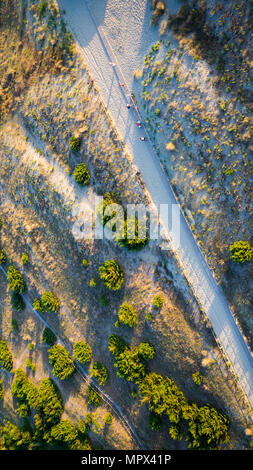 Bird's eye view of a path tthrought the dune with wild flora in tuscany near Viareggio, italy Stock Photo