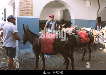 Lindos, island of Rhodes, Greece - 18 September 2017: Parking donkeys in Lindos to visit the Acropolis. Stock Photo