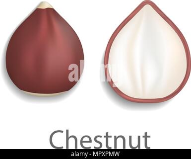 Chestnut mockup, realistic style Stock Vector