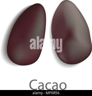 Cacao mockup, realistic style Stock Vector