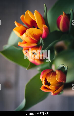 Close-up of orange flowers against wall Stock Photo